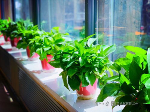 蘭州復(fù)工復(fù)產(chǎn)進(jìn)行時,與你在浪漫的社區(qū)書店邂逅