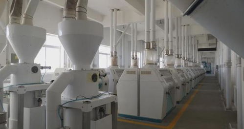 鄉(xiāng)村振興進(jìn)行時(shí) 多措并舉促就業(yè)，精準(zhǔn)服務(wù)暖民心，文藝創(chuàng)作煥活力